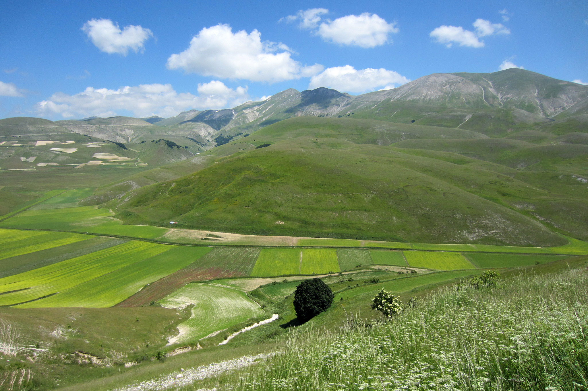 Castelluccio di Norcia lies at 1452 m, making it the highest settlement in the Apennines.